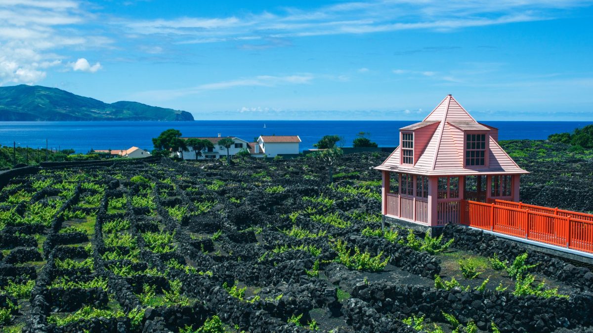 การเดินทางสุดพิเศษในหมู่เกาะอะซอเรส: ภูเขาไฟ ไวน์ และวาฬ
