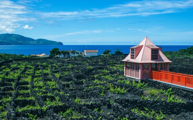 การเดินทางสุดพิเศษในหมู่เกาะอะซอเรส: ภูเขาไฟ ไวน์ และวาฬ