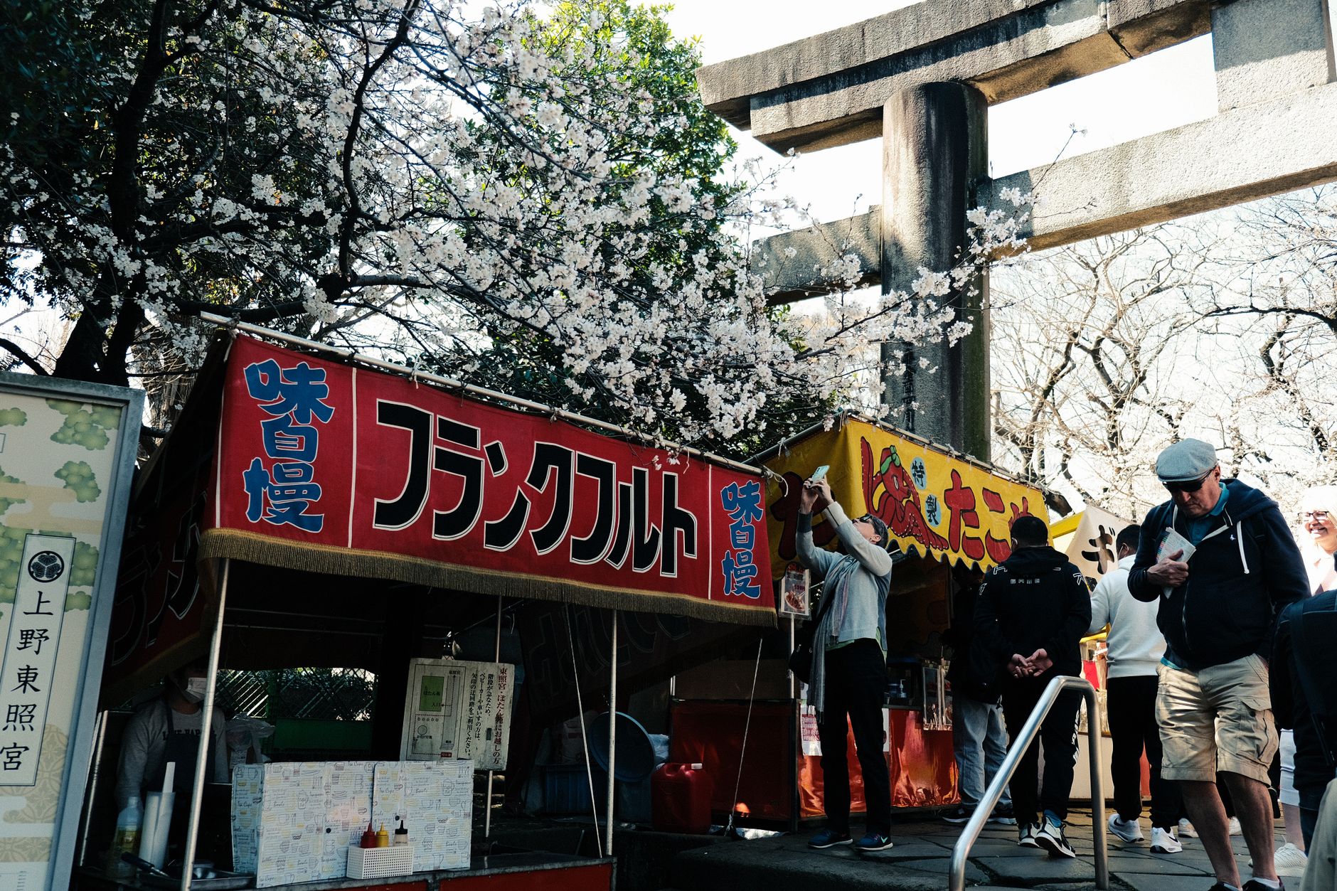 คู่มือชมซากุระในญี่ปุ่น: เทศกาลฮานามิ