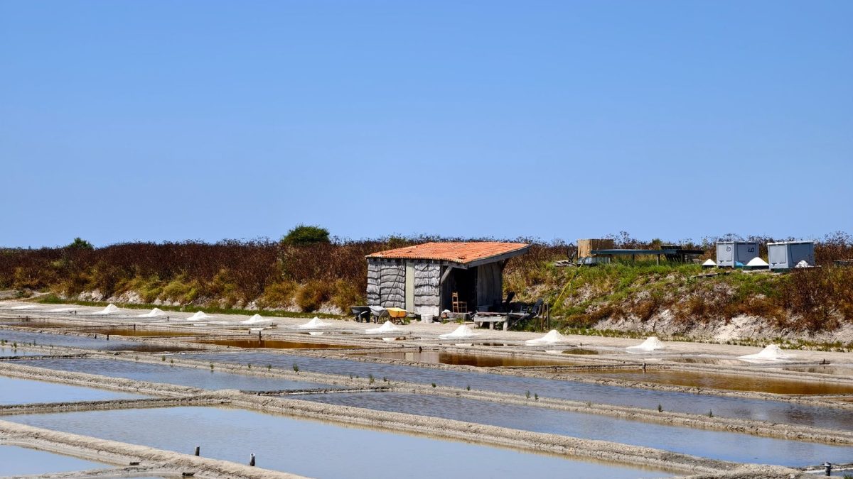 Île de Ré: สวรรค์บนเกาะฝรั่งเศสที่คุณต้องไปเยือน