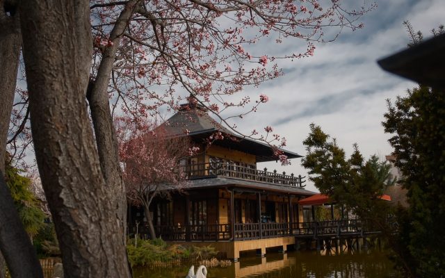 การท่องเที่ยวญี่ปุ่นในเดือนพฤษภาคม: แนวโน้มและข้อมูลสำคัญ