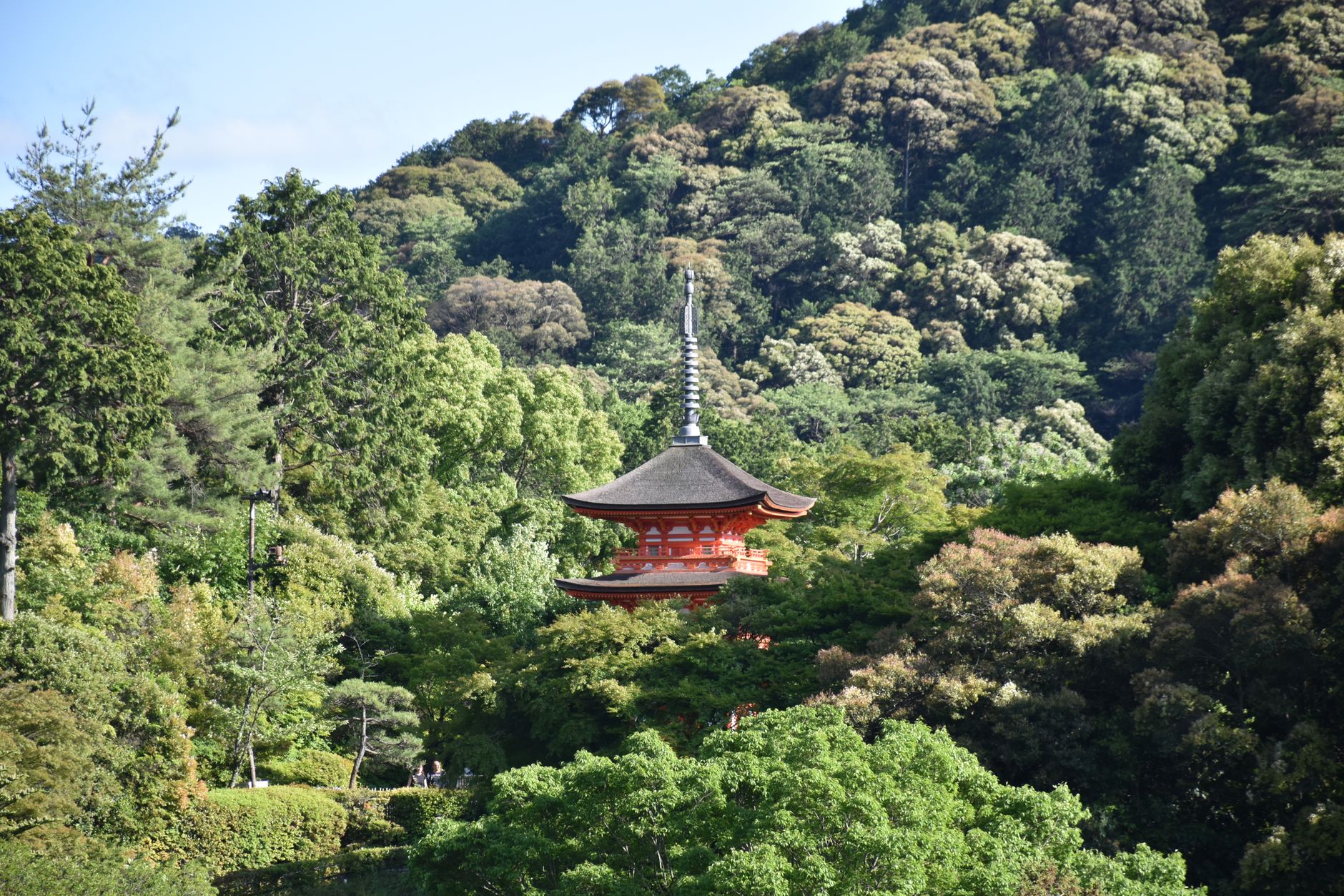 การเดินทางที่น่าตื่นเต้นในญี่ปุ่น: สำรวจวัฒนธรรมและธรรมชาติ