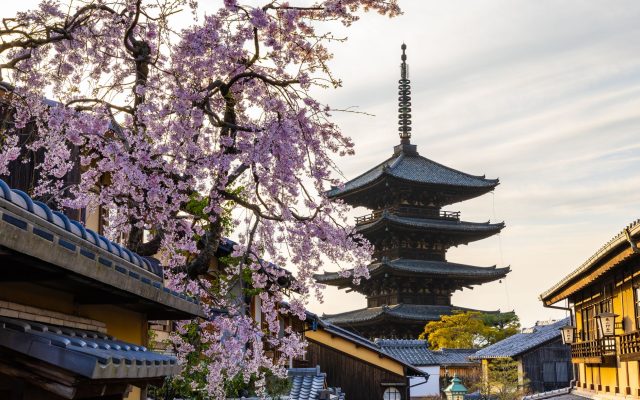 การเดินทางท่องเที่ยวในญี่ปุ่น: ประสบการณ์ที่ไม่ควรพลาด