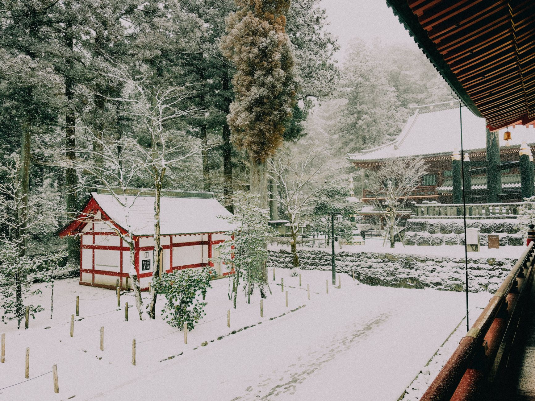 การท่องเที่ยวในเอเชีย: การเดินทางที่น่าตื่นเต้นในญี่ปุ่น