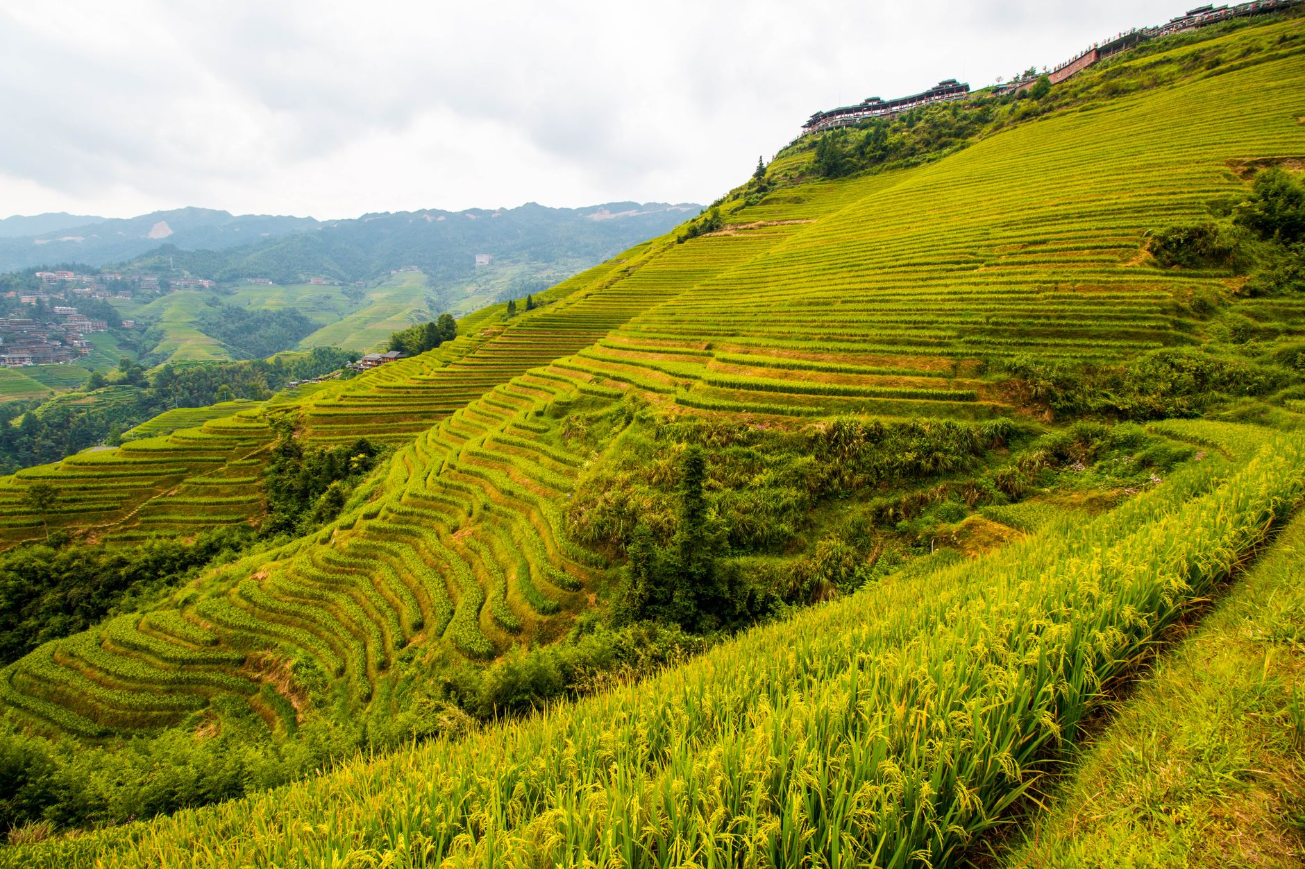 นาขั้นบันไดหลงจี๋ (Longji Rice Terraces) สถานที่ท่องเที่ยวในกุ้ยหลิน, จีน