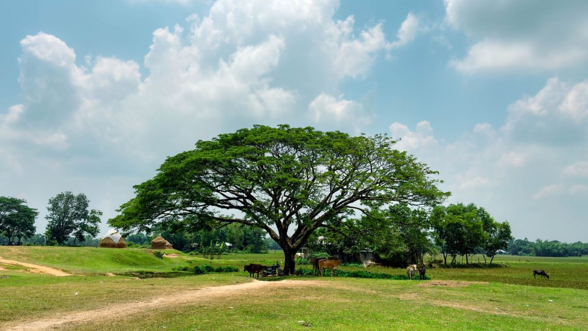 หมู่บ้านที่สะอาดที่สุดในเอเชีย: วันอาทิตย์ห้ามนักท่องเที่ยว