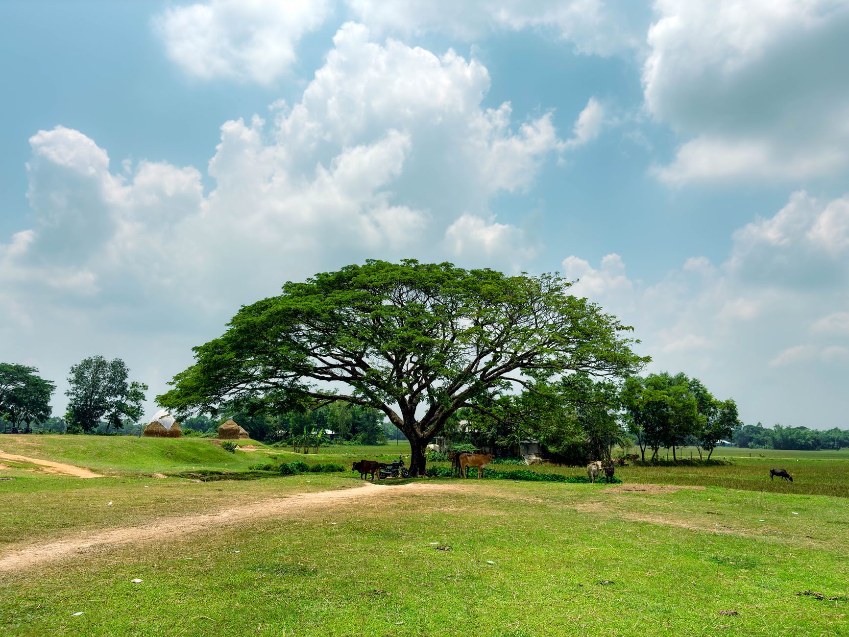 หมู่บ้านที่สะอาดที่สุดในเอเชีย: ปิดให้บริการนักท่องเที่ยวในวันอาทิตย์