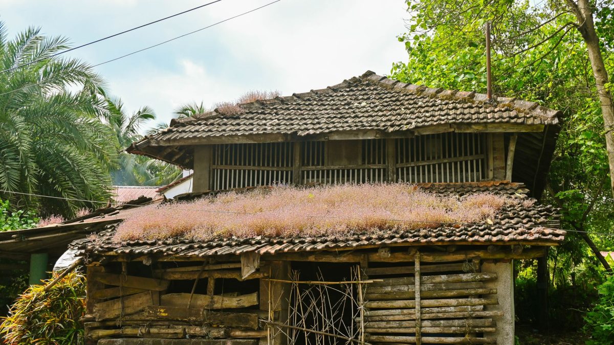 หมู่บ้านที่สะอาดที่สุดในเอเชีย: ทำไมถึงปิดให้บริการนักท่องเที่ยวในวันอาทิตย์