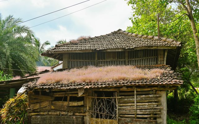 หมู่บ้านที่สะอาดที่สุดในเอเชีย: ทำไมถึงปิดให้บริการนักท่องเที่ยวในวันอาทิตย์