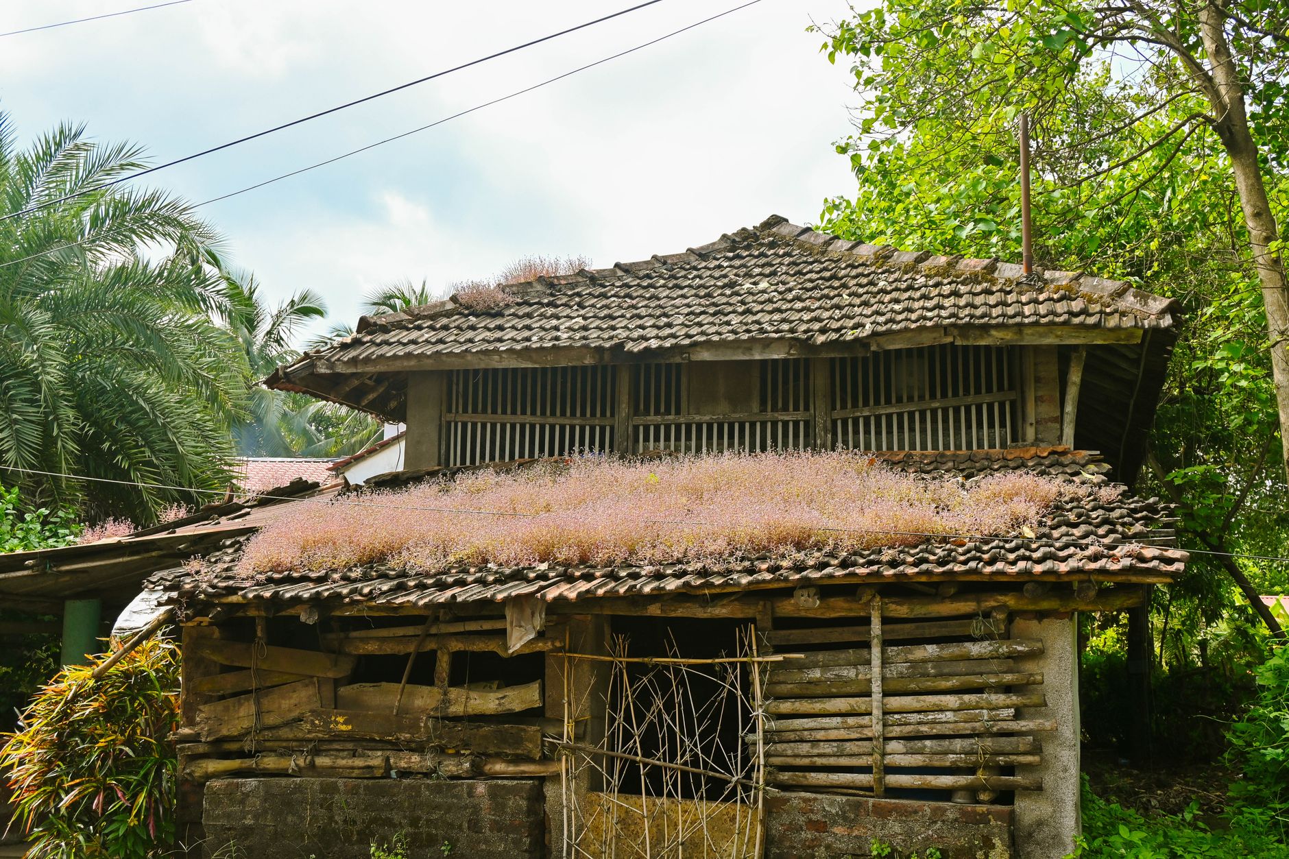 หมู่บ้านที่สะอาดที่สุดในเอเชีย: ทำไมถึงปิดให้บริการนักท่องเที่ยวในวันอาทิตย์