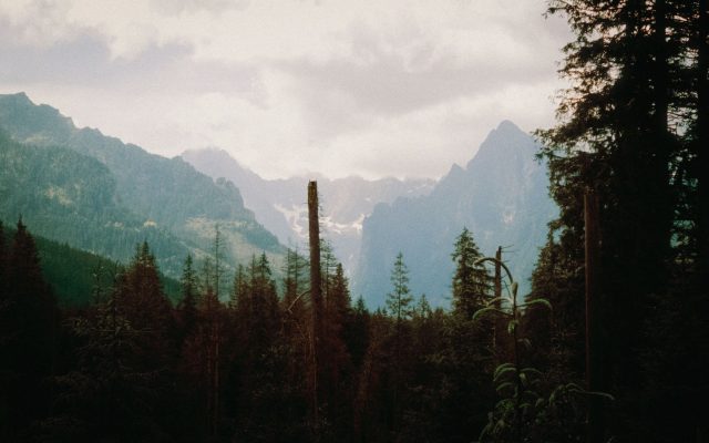 การเดินป่าร่วมกับชุมชนในเทือกเขา High Tatras สโลวาเกีย