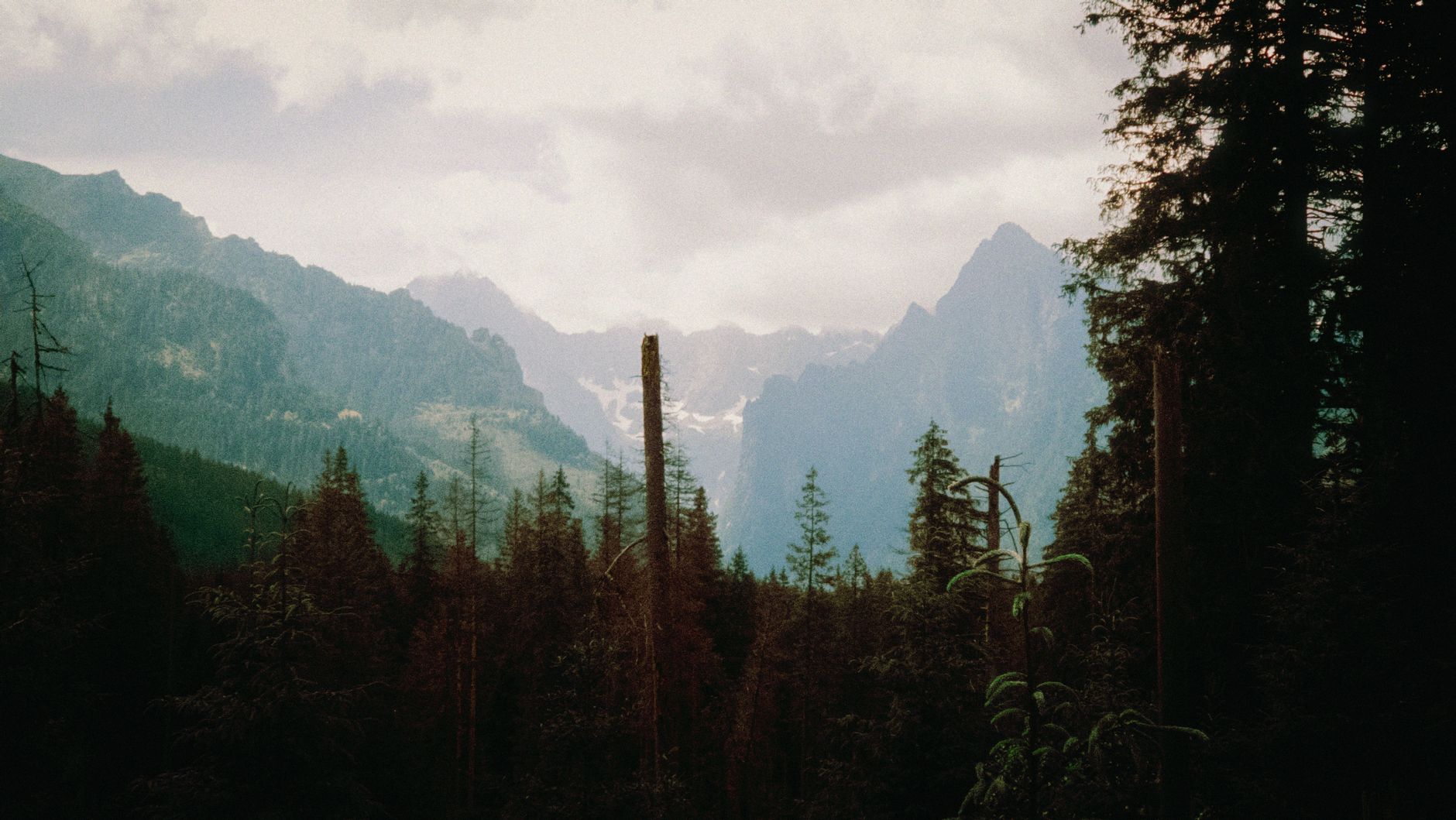 การเดินป่าร่วมกับชุมชนในเทือกเขา High Tatras สโลวาเกีย
