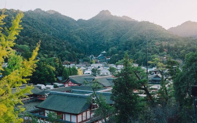 สำรวจเมืองโจเกะ: ชุมชนที่ผสมผสานอดีตและอนาคตในญี่ปุ่น