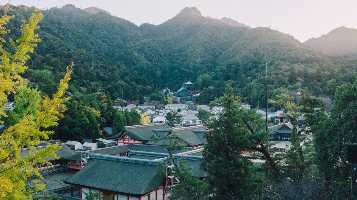 สำรวจเมืองโจเกะ: ประวัติศาสตร์ที่หล่อหลอมอนาคต