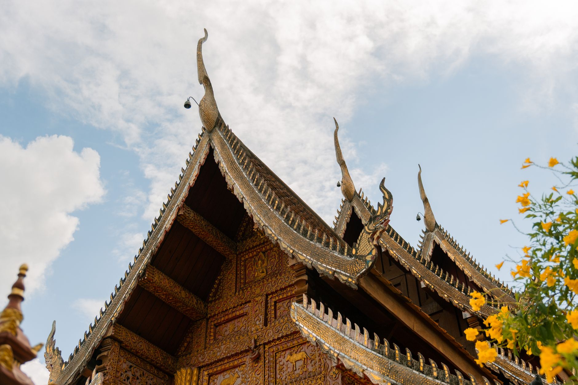 เที่ยวแบบคุณยาย: เทรนด์ใหม่ของนักท่องเที่ยวรุ่นใหม่