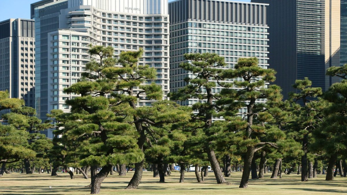 กลับสู่ Park Hyatt Tokyo: โรงแรมที่ยืนหยัดผ่านการปรับปรุง