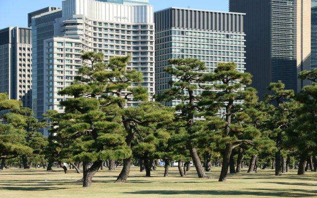 กลับสู่ Park Hyatt Tokyo: โรงแรมที่ยืนหยัดผ่านการปรับปรุง