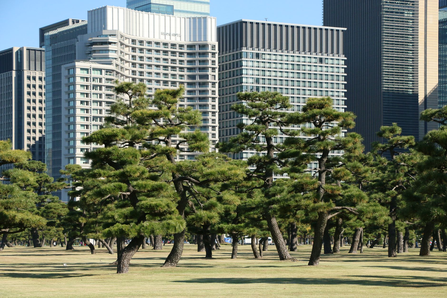 กลับสู่ Park Hyatt Tokyo: โรงแรมที่ยืนหยัดผ่านการปรับปรุง