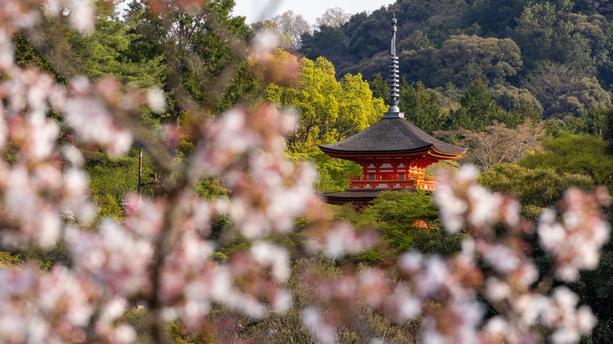 การท่องเที่ยวในญี่ปุ่น: สัมผัสวัฒนธรรมและธรรมชาติ