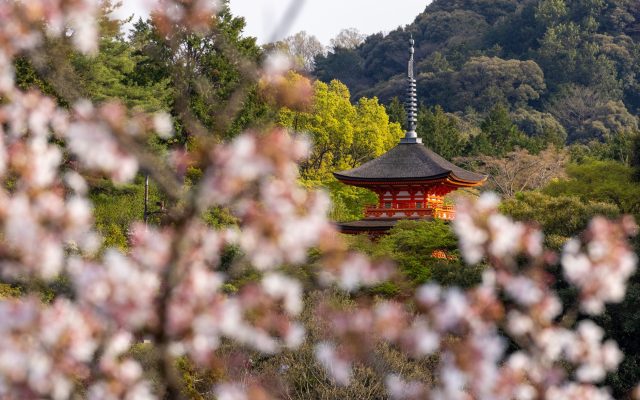 การท่องเที่ยวในญี่ปุ่น: สัมผัสวัฒนธรรมและธรรมชาติ