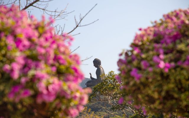 ฤดูซากุระเกาะลันตา — มุมลับ