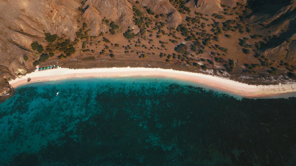 หาดสีชมพูโคโมโด: สวรรค์แห่งความงามในอินโดนีเซีย