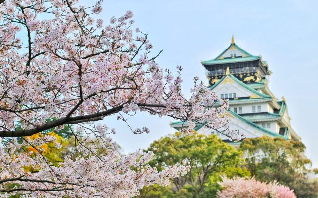 คู่มือท่องเที่ยวปราสาทโอซาก้า (Osaka Castle)