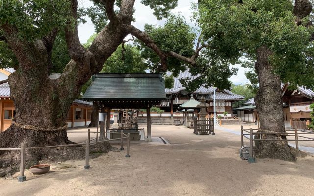 ศาลเจ้าซูมิโยชิ: สถานที่ศักดิ์สิทธิ์ในโอซาก้า