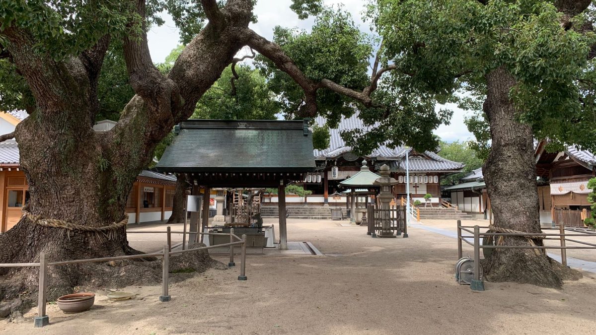 ศาลเจ้าซูมิโยชิ — มุมลับในโอซาก้า
