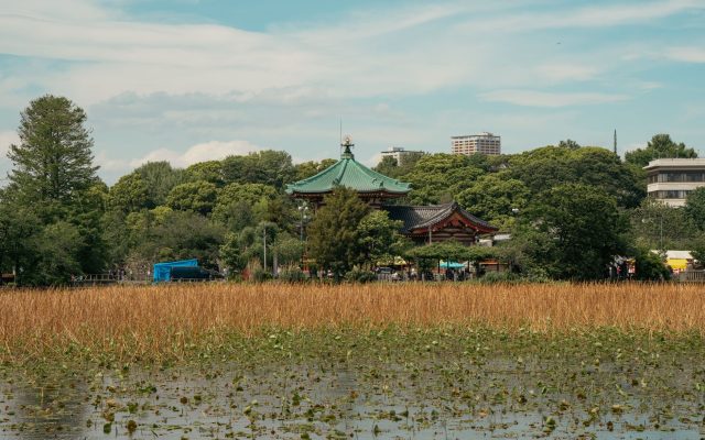 สวนอุเอโนะ — มุมลับในโตเกียว