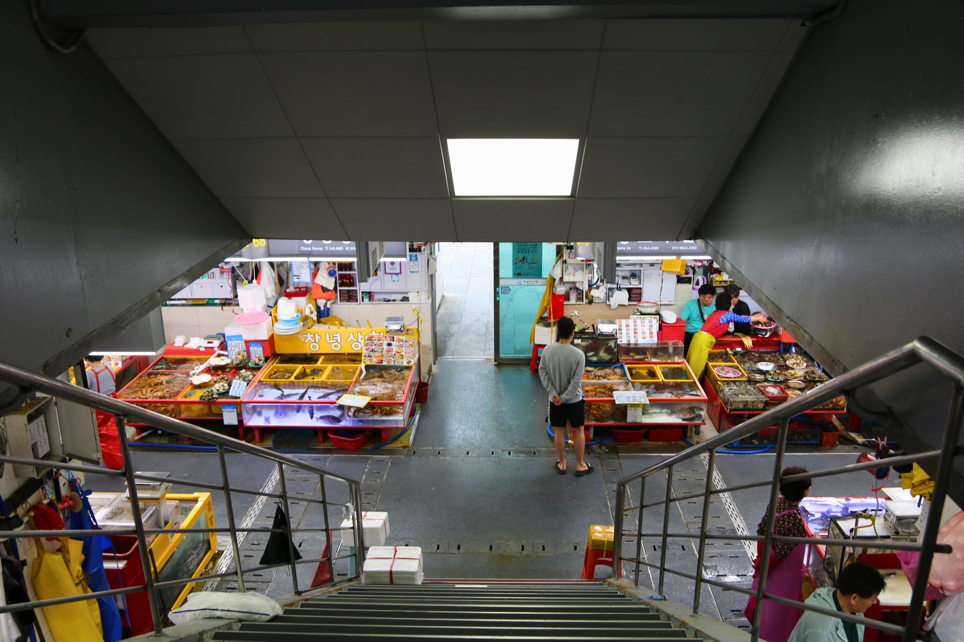 ตลาดปลาจากัลชิ: สัมผัสวัฒนธรรมอาหารทะเลที่ปูซาน