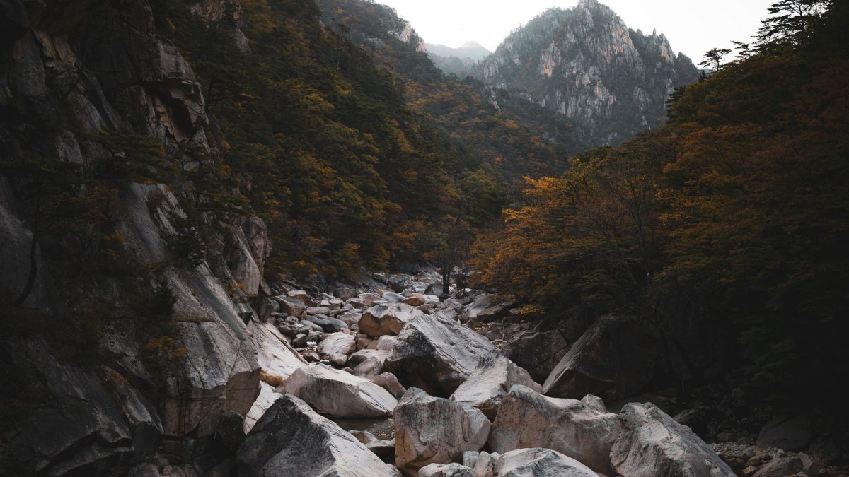 คู่มือท่องเที่ยวอุทยานฮัลลาซาน (Hallasan National Park) เชจู เกาหลีใต้