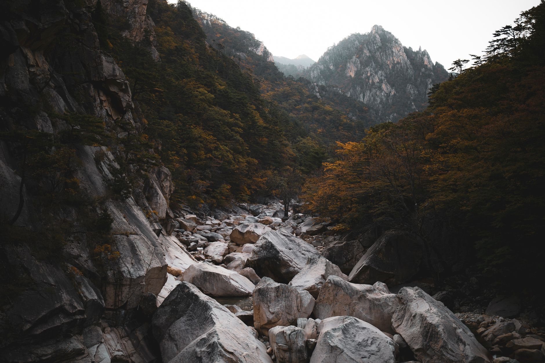 คู่มือท่องเที่ยวอุทยานฮัลลาซาน (Hallasan National Park) เชจู เกาหลีใต้