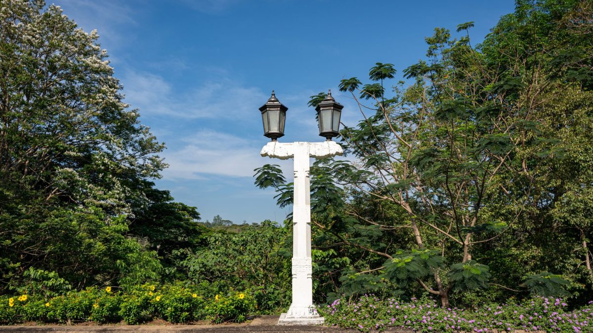 สวนพฤกษศาสตร์ราชวัง แคนดี้ ศรีลังกา