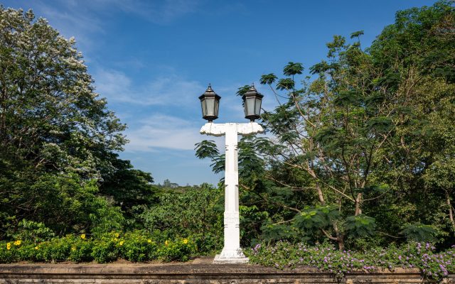 สวนพฤกษศาสตร์ราชวัง แคนดี้ ศรีลังกา