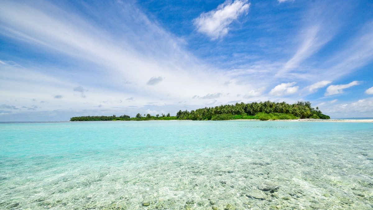คู่มือท่องเที่ยวอ atol อารีงบน้อย (Ari Atoll) มัลดีฟส์