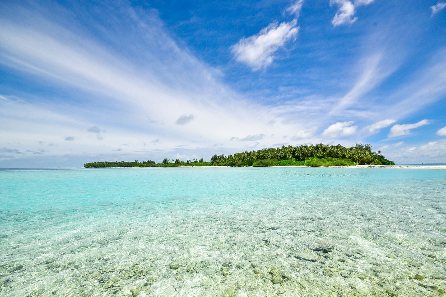 คู่มือท่องเที่ยวอ atol อารีงบน้อย (Ari Atoll) มัลดีฟส์