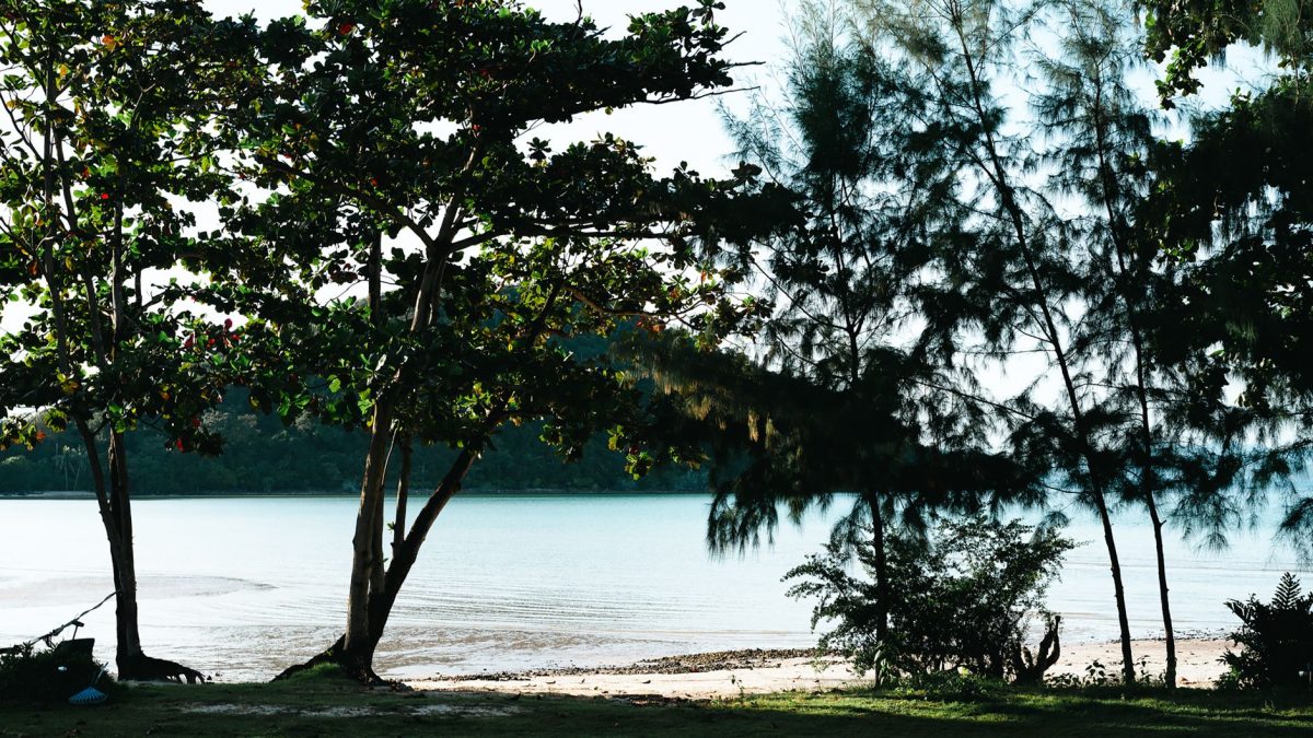 อุทยานตุงกู: สวรรค์บนเกาะที่โกตากินาบาลู
