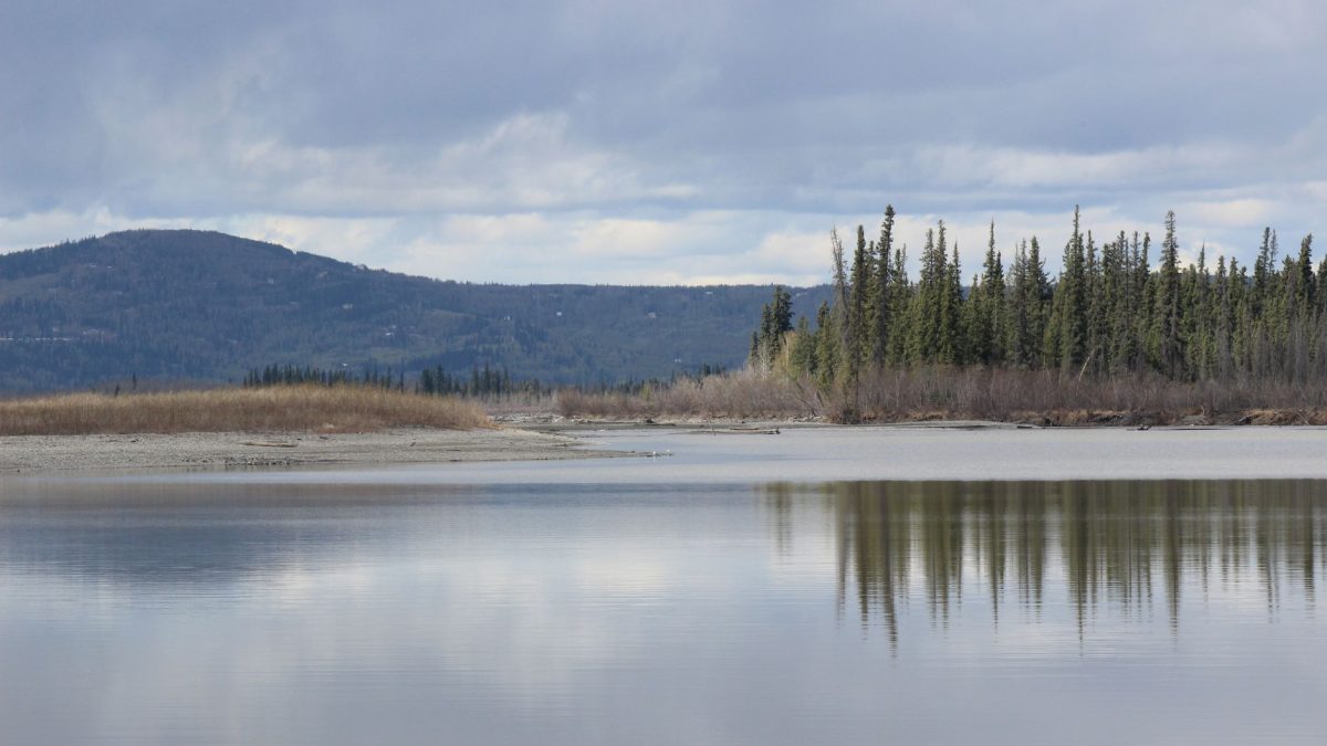 สัมผัสประวัติศาสตร์การขุดทองที่ Gold Dredge 8 ใน Fairbanks อลาสกา