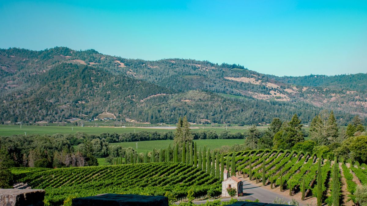การวางแผนทริปบัณฑิตสาวใน Napa Valley และ Sonoma County
