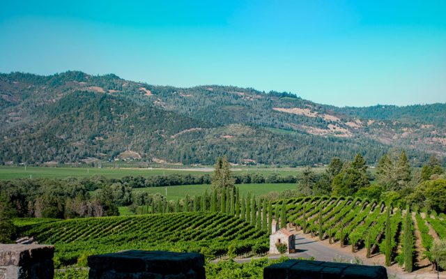 การวางแผนทริปบัณฑิตสาวใน Napa Valley และ Sonoma County