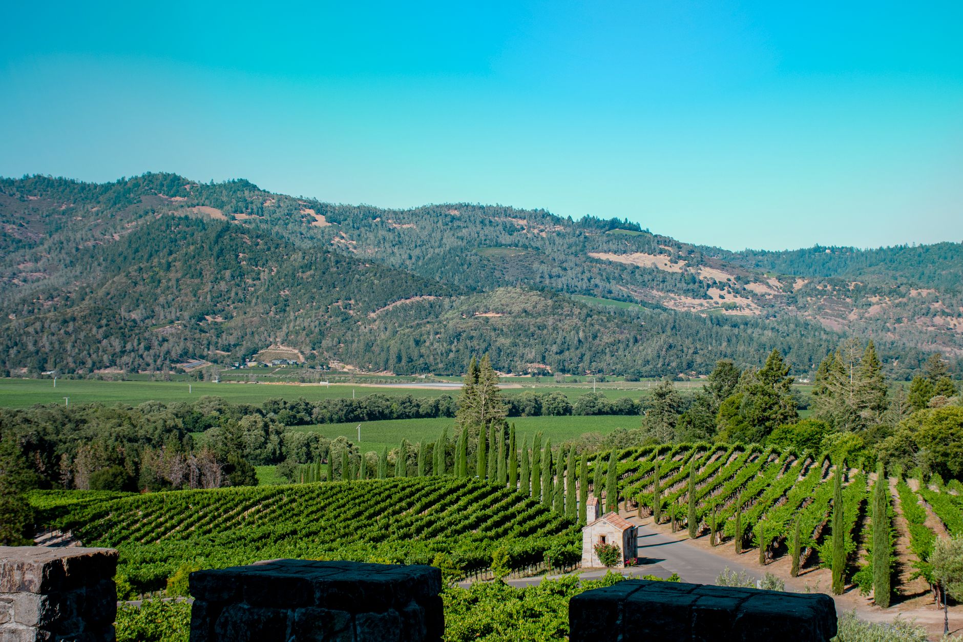 การวางแผนทริปบัณฑิตสาวใน Napa Valley และ Sonoma County