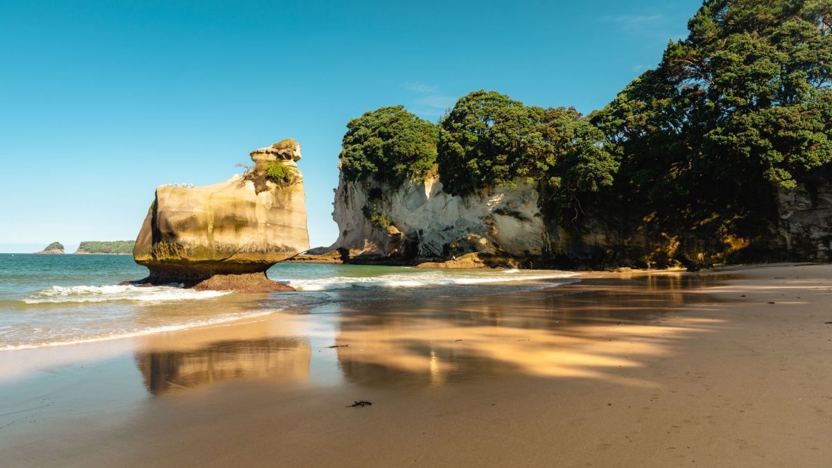 สำรวจอ่าว Cathedral Cove จาก Whitianga ในคาบสมุทร Coromandel