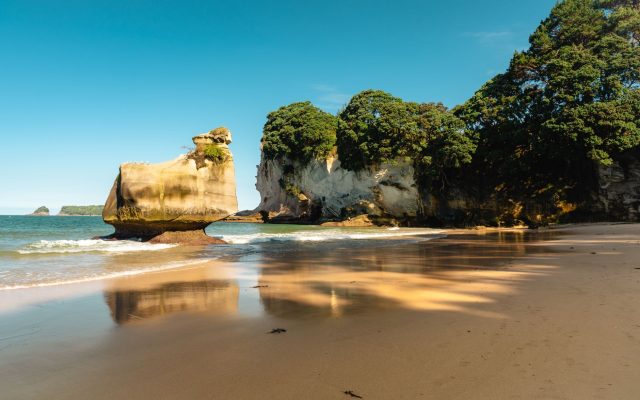 สำรวจอ่าว Cathedral Cove จาก Whitianga ในคาบสมุทร Coromandel