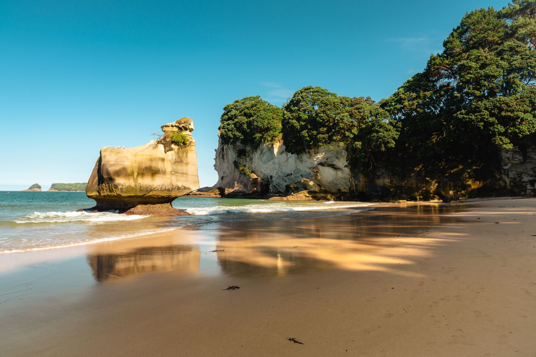 สำรวจอ่าว Cathedral Cove จาก Whitianga ในคาบสมุทร Coromandel