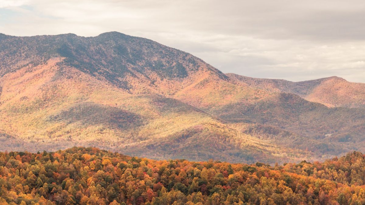 ที่พักในอุทยานแห่งชาติ Great Smoky Mountains สำหรับชมวิวภูเขาและใบไม้เปลี่ยนสี