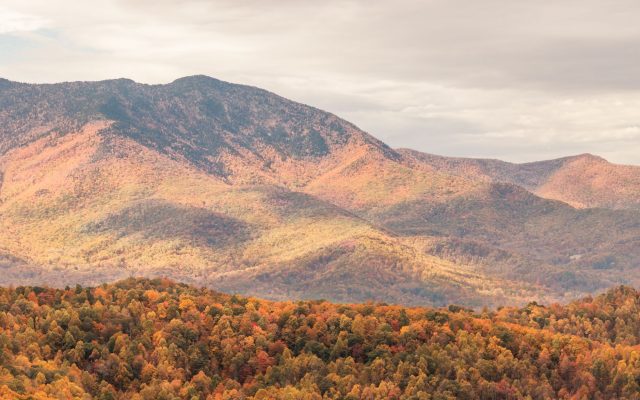 ที่พักในอุทยานแห่งชาติ Great Smoky Mountains สำหรับชมวิวภูเขาและใบไม้เปลี่ยนสี