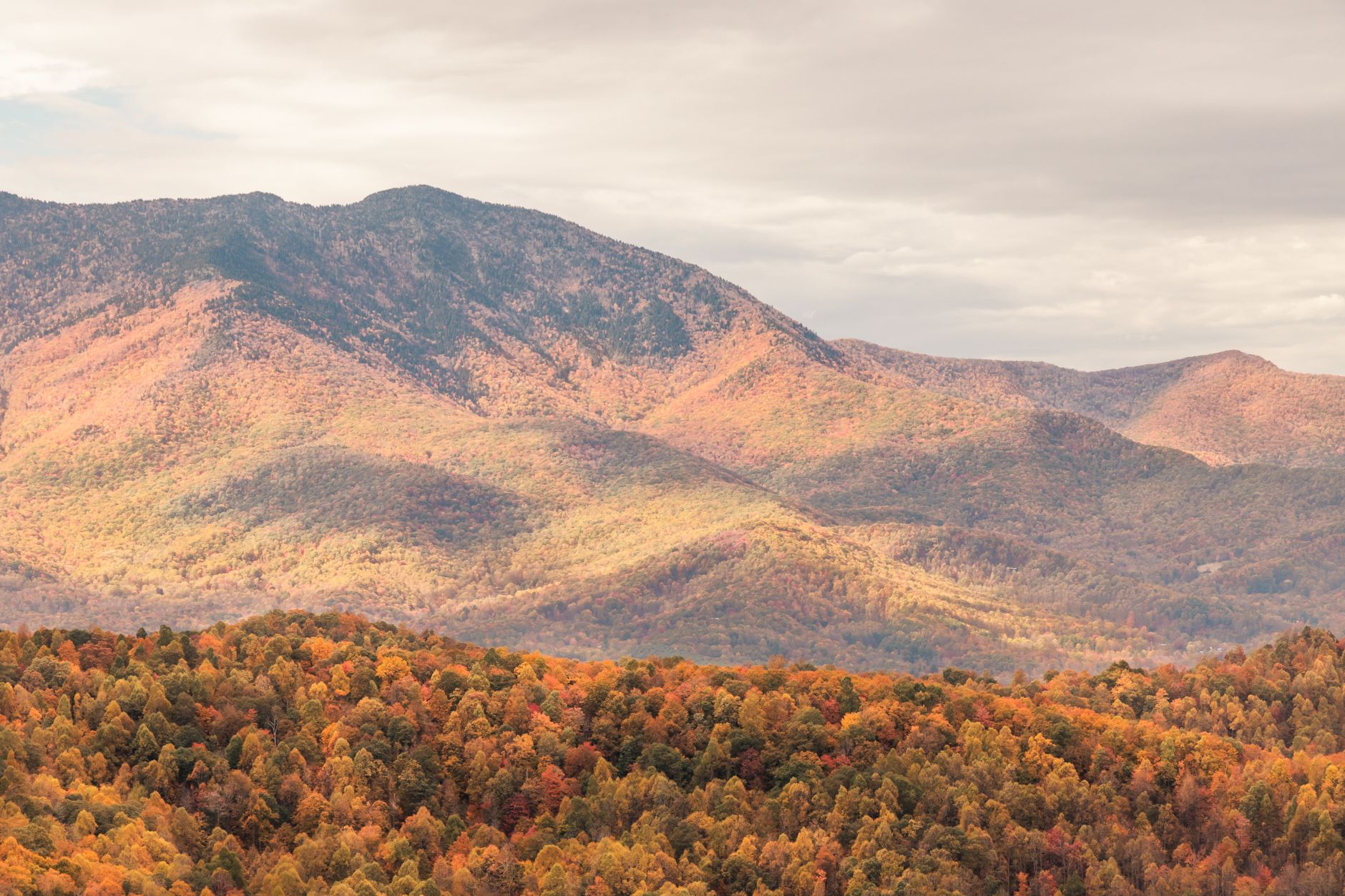 ที่พักในอุทยานแห่งชาติ Great Smoky Mountains สำหรับชมวิวภูเขาและใบไม้เปลี่ยนสี
