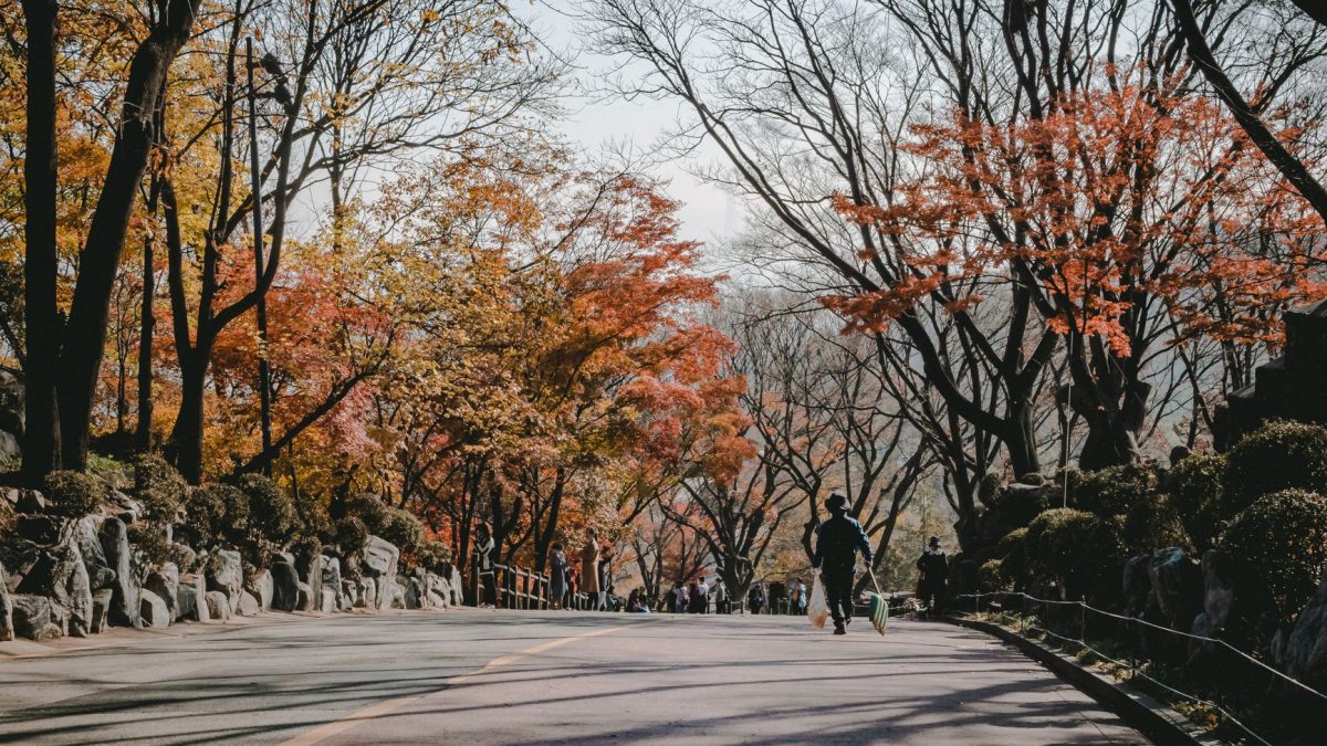 การให้ทิปในทัวร์เดินชมเมืองฟรี