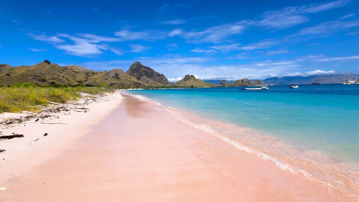 หาดสีชมพูโคโมโด: มุมลับแห่งอินโดนีเซีย